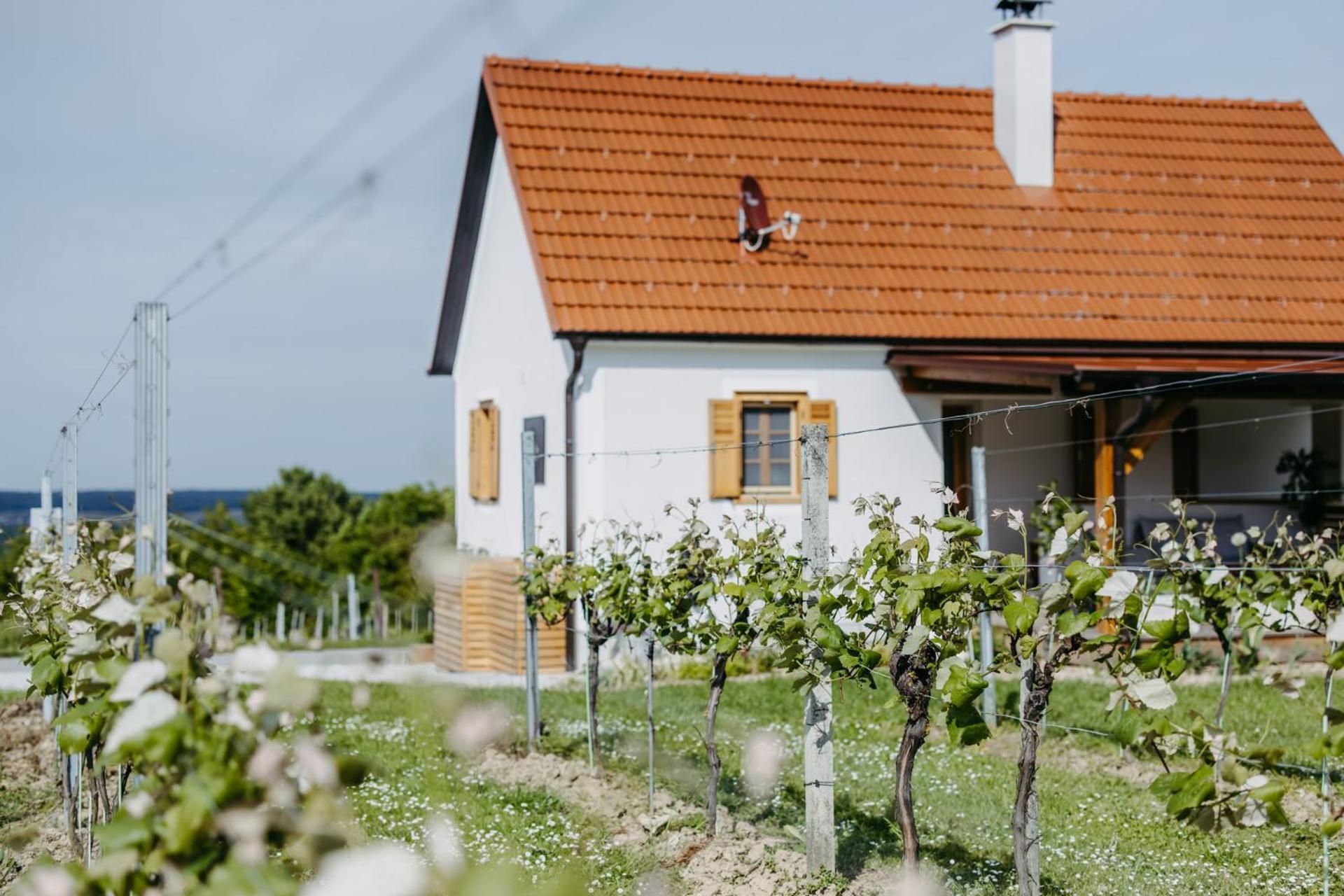 Apartamento Urlaub Im Kellerstoeckl Dunst Strem Habitación foto