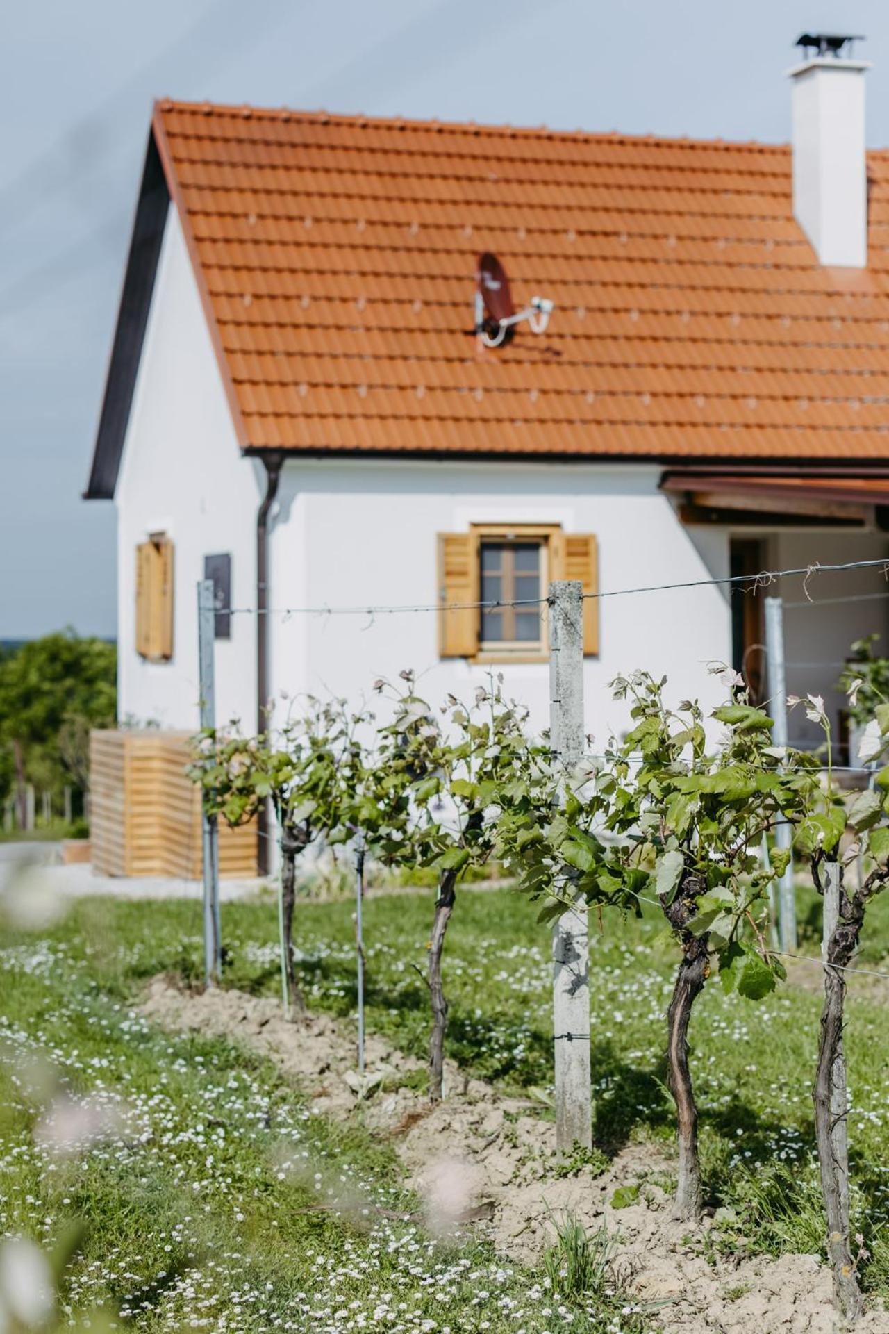 Apartamento Urlaub Im Kellerstoeckl Dunst Strem Habitación foto