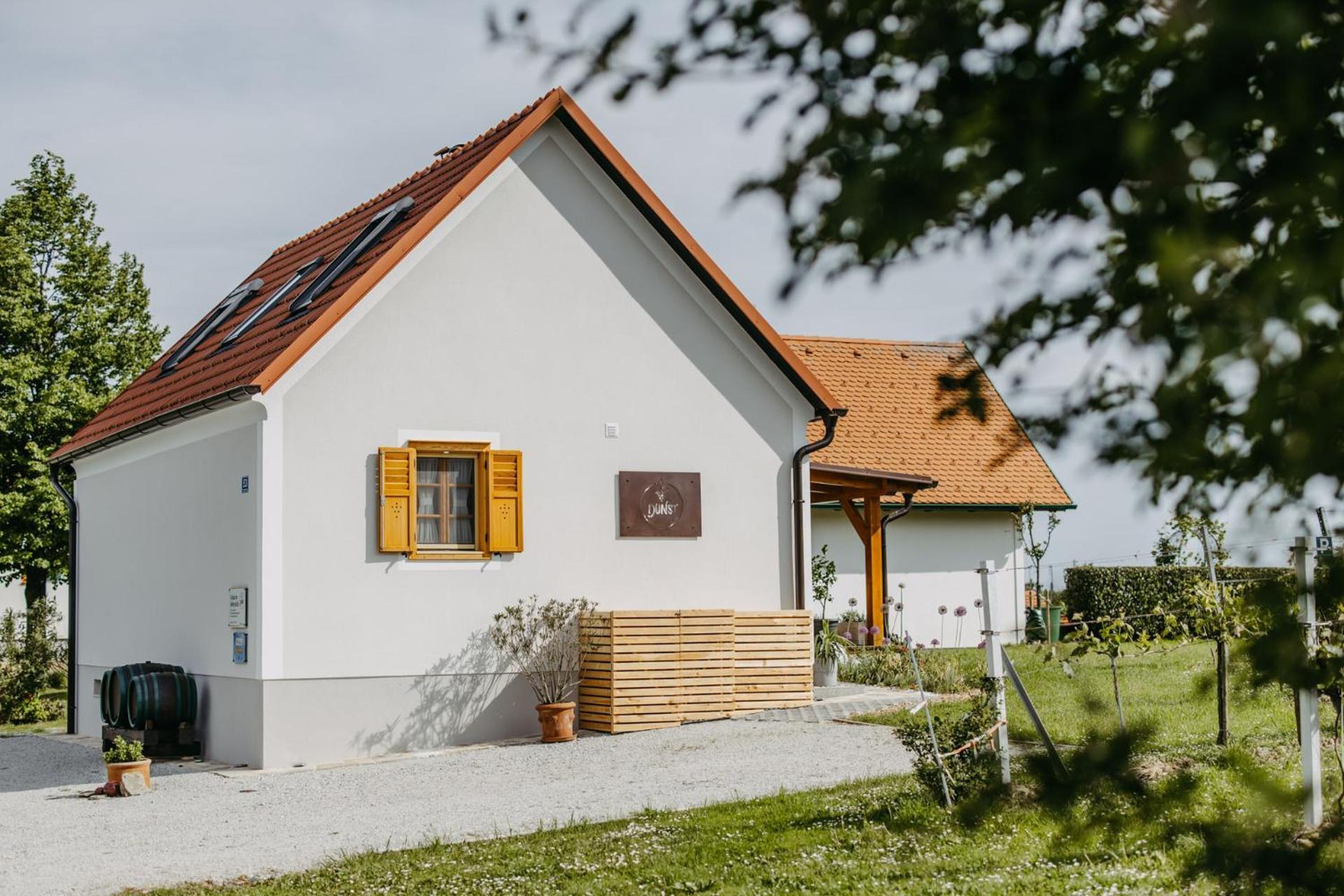 Apartamento Urlaub Im Kellerstoeckl Dunst Strem Habitación foto